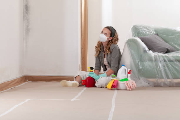 Reliable Mold Remediation contractor in Cresson, PA by WQB Mold Removal