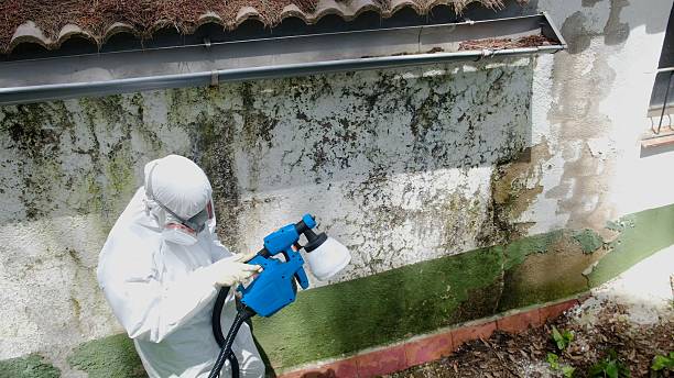 Top rated local Mold Remediation specialists in Cresson, PA